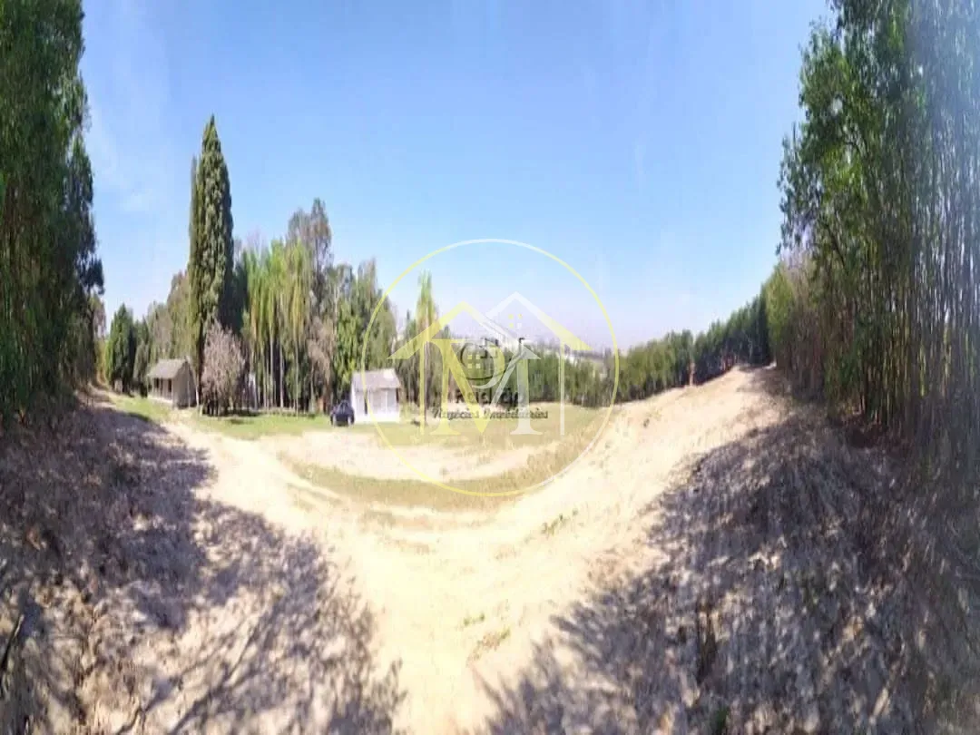 Terreno, 10 hectares - Foto 16