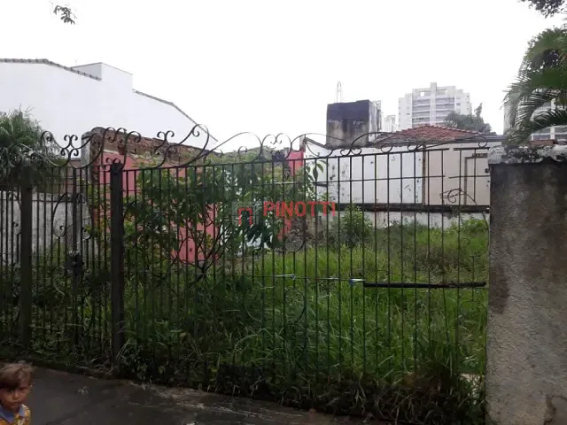 Terreno para alugar, no bairro Nova Petrópolis em São Bernardo do Campo
