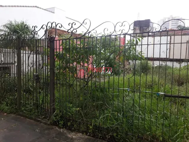 Terreno para alugar, no bairro Nova Petrópolis em São Bernardo do Campo