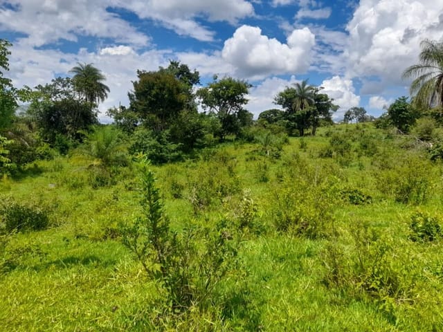 Foto do Terreno - Área à venda, 96000 m² por R$ 370.000,00 - Santa Rosa - Uberaba/MG | ZUCATO IMOBILIARIA LTDA