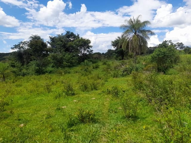 Foto do Terreno - Área à venda, 96000 m² por R$ 370.000,00 - Santa Rosa - Uberaba/MG | ZUCATO IMOBILIARIA LTDA