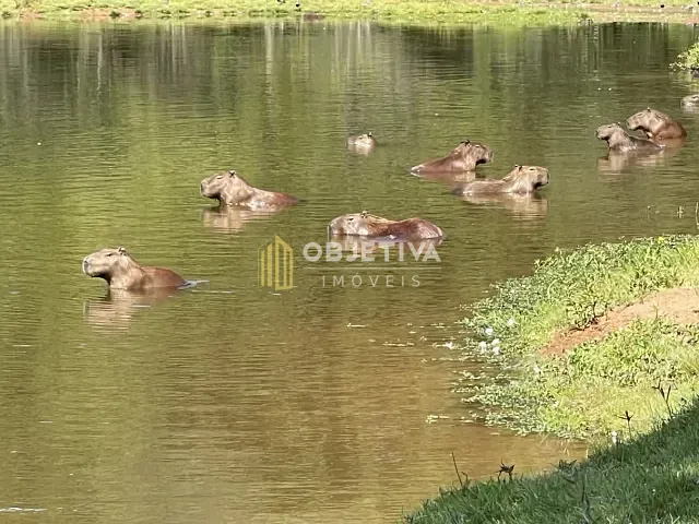 Terreno com 1000m², à venda, no bairro Lomba Grande em Novo Hamburgo