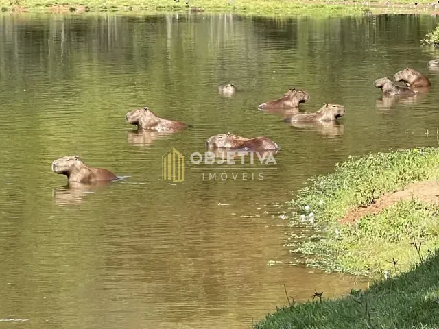 Terreno com 1000m², à venda, no bairro Lomba Grande em Novo Hamburgo