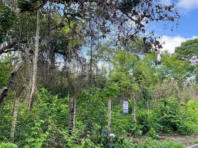 Terreno à venda, no bairro Vale Quem Tem em Teresina