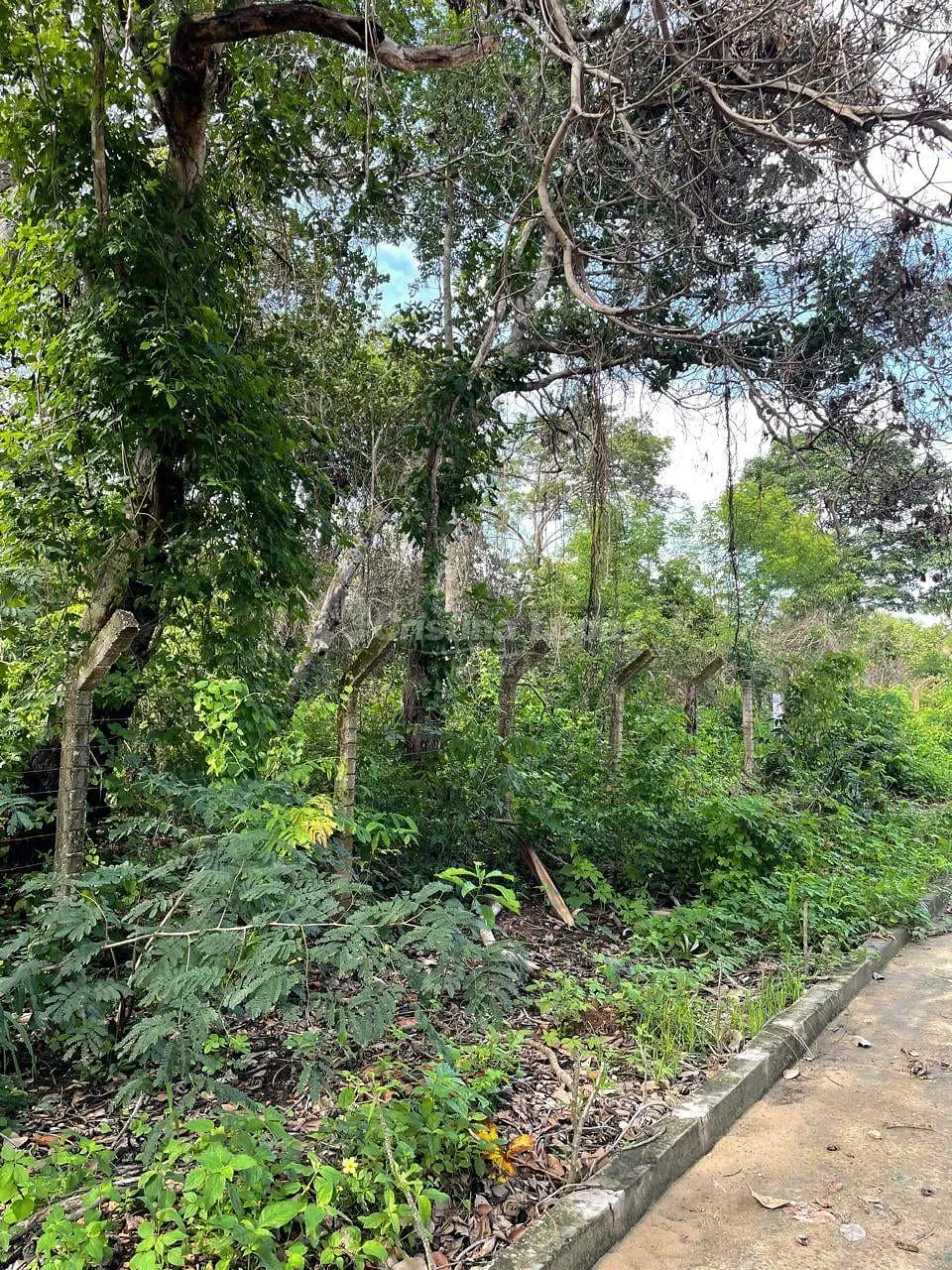 Terreno, 10 m² - Foto 4