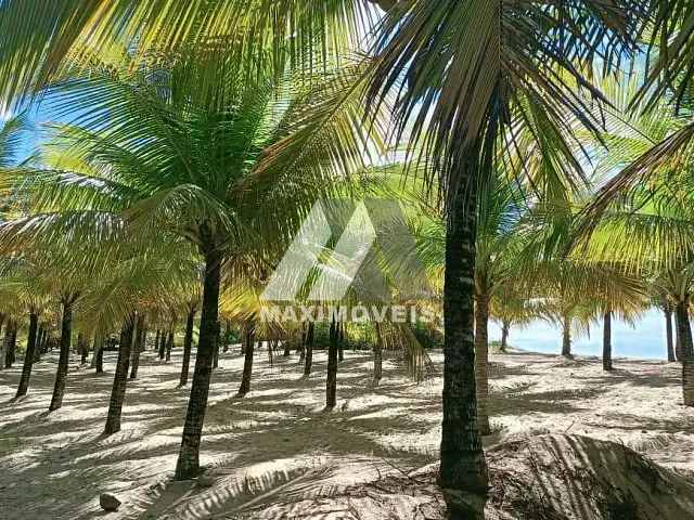 Terreno com 1200m², à venda, no bairro Mogiquiçaba em Belmonte