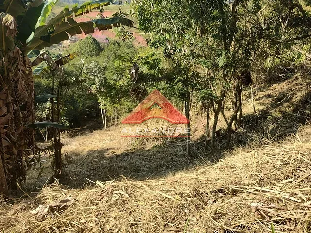 Terreno com 2505m², à venda, no bairro Freitas em São José dos Campos