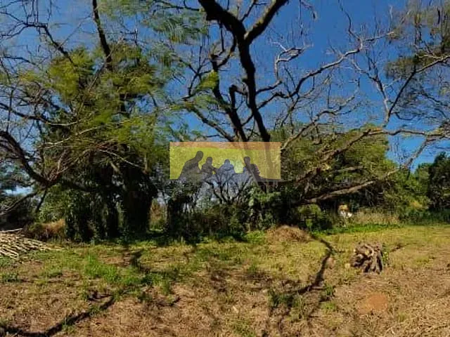 Terreno com 1000m², à venda, no bairro Chácara Santa Margarida em Campinas