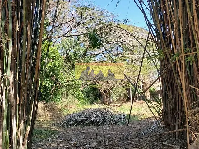 Terreno com 1000m², à venda, no bairro Chácara Santa Margarida em Campinas