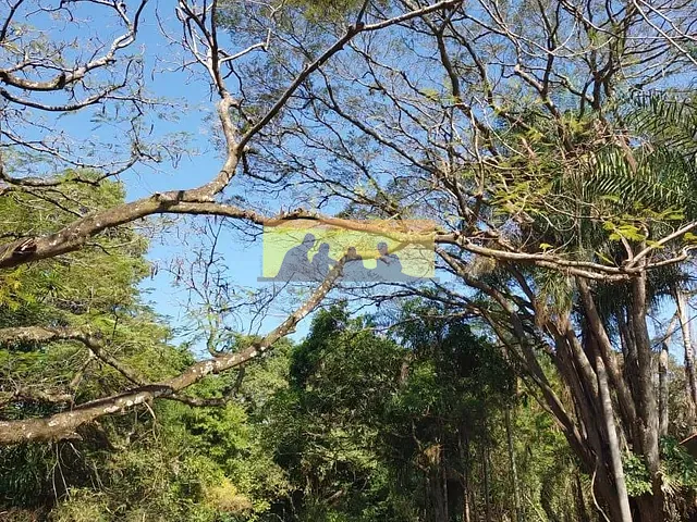 Terreno com 1000m², à venda, no bairro Chácara Santa Margarida em Campinas