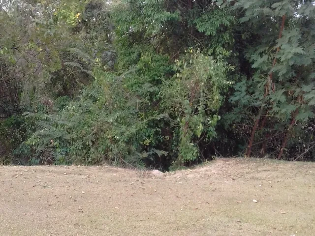 Foto do Terreno - Terreno à venda, cafezal 2, Itupeva, SP | Copette Imóveis