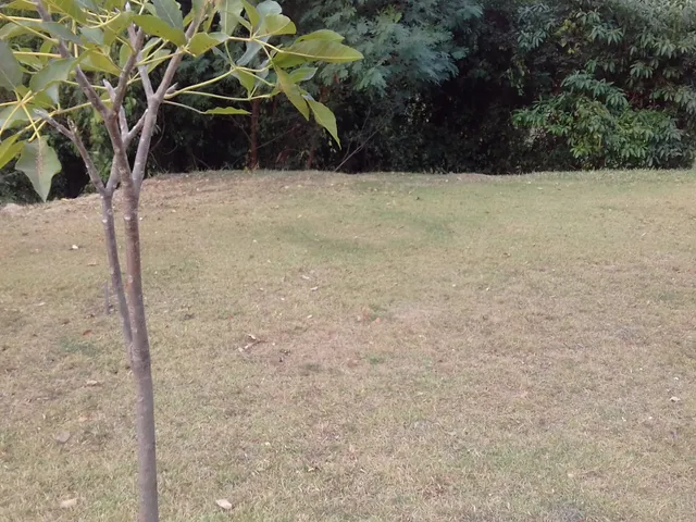 Foto do Terreno - Terreno à venda, cafezal 2, Itupeva, SP | Copette Imóveis