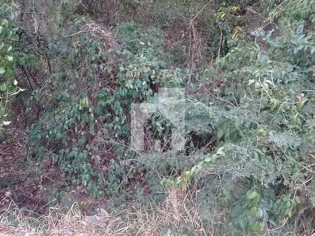 Terreno com 1245m², à venda, no bairro Horizonte Azul - Village Ambiental em Itupeva