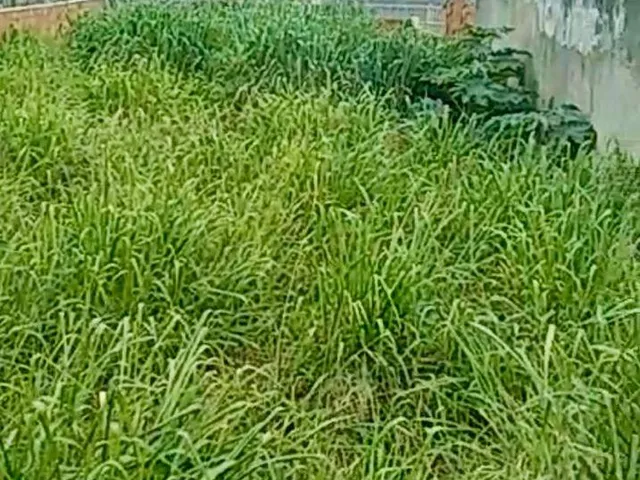 Terreno com 330m², à venda, no bairro Novo Cavaleiro em Macaé