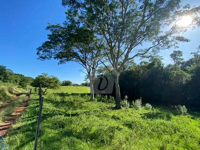 Terreno com 175000m², à venda, no bairro Linha Germano em Teutônia