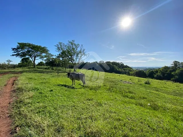 Terreno com 175000m², à venda, no bairro Linha Germano em Teutônia