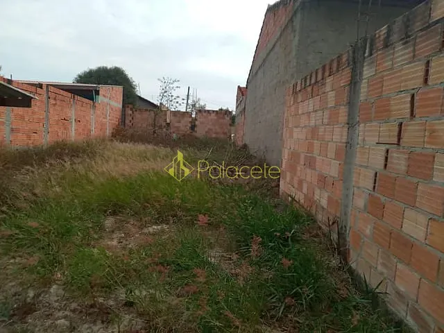 Terreno com 200m², à venda, no bairro Miguel Vieira em Potim