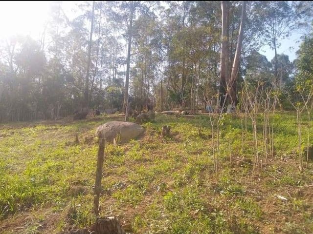 Foto do Terreno - Terreno à venda, 600 m² por R$ 255.300,00 - Portal Do S Paula - Cotia/SP | Pitale Imóveis Ltda.