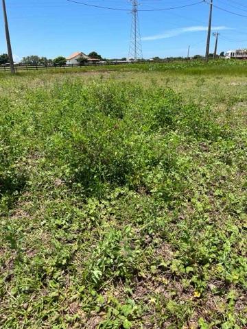 Terreno com 360m², à venda, no bairro Cajueiro em São João da Barra