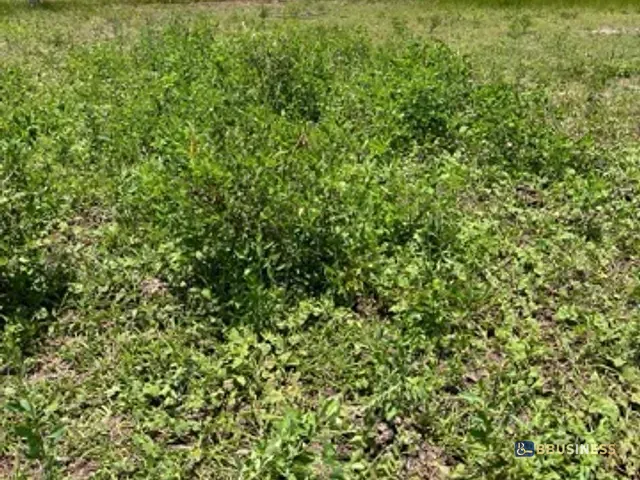 Terreno com 360m², à venda, no bairro Cajueiro em São João da Barra