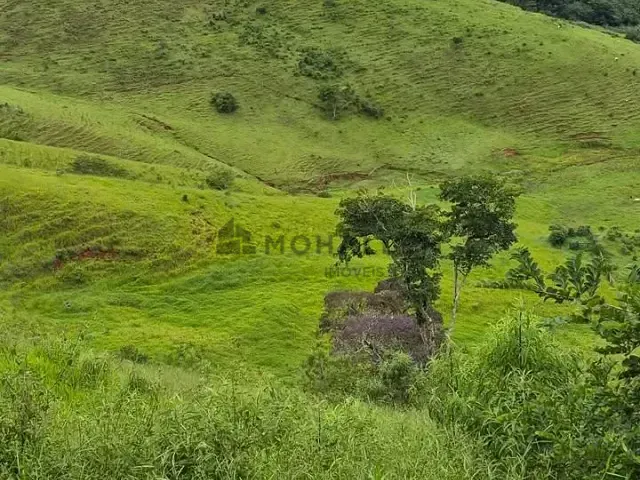 Terreno com 5m², à venda, no bairro Barreirinho em Delfim Moreira