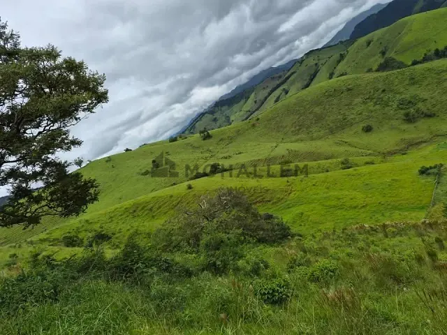Terreno com 5m², à venda, no bairro Barreirinho em Delfim Moreira