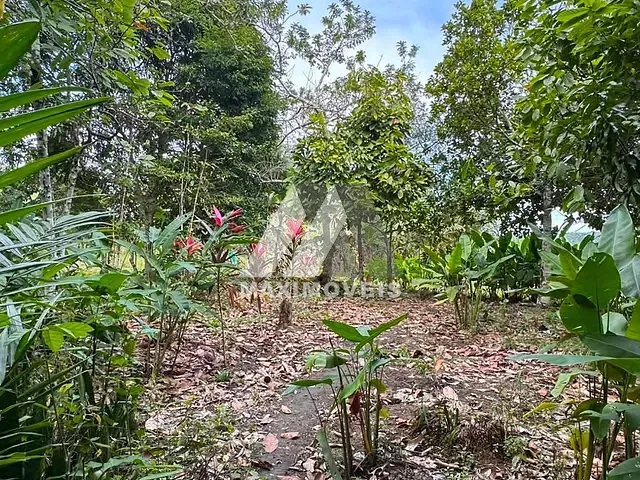 Terreno com 20000m², à venda, no bairro Trancoso em Porto Seguro