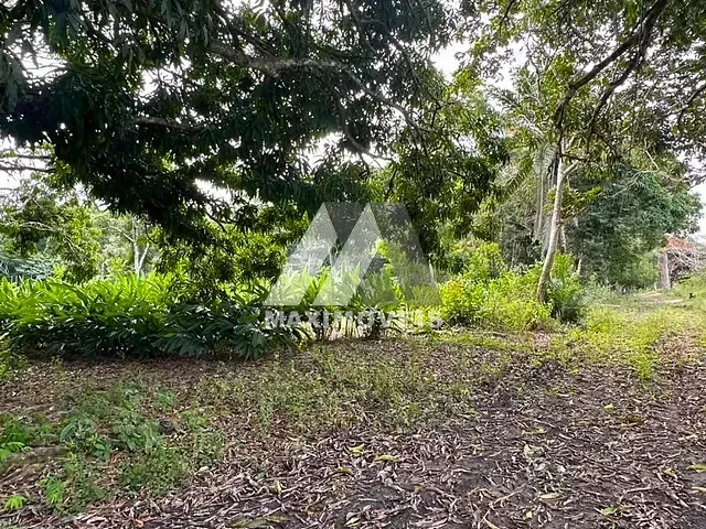 Terreno com 20000m², à venda, no bairro Trancoso em Porto Seguro