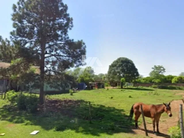 Terreno com 1000m², à venda, no bairro Colônia Dona Luíza em Ponta Grossa