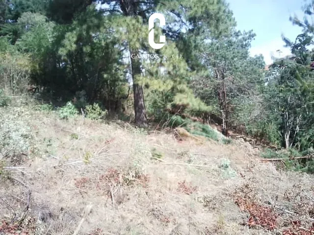 Terreno com 1180m², à venda, no bairro Colinas do Capivari em Campos do Jordão