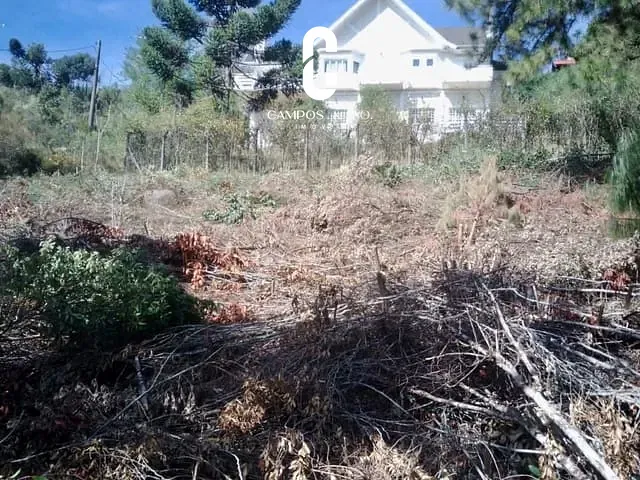 Terreno com 1180m², à venda, no bairro Colinas do Capivari em Campos do Jordão