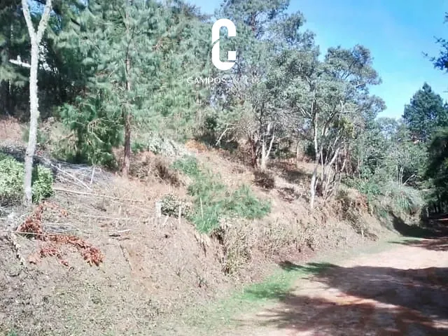 Terreno com 1180m², à venda, no bairro Colinas do Capivari em Campos do Jordão