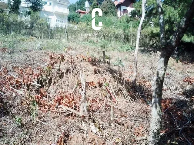 Terreno com 1180m², à venda, no bairro Colinas do Capivari em Campos do Jordão
