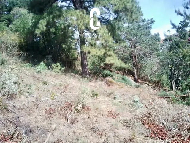 Terreno com 1180m², à venda, no bairro Colinas do Capivari em Campos do Jordão