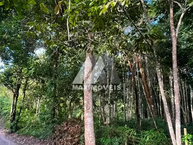 Terreno com 3800m², à venda, no bairro Trancoso em Porto Seguro