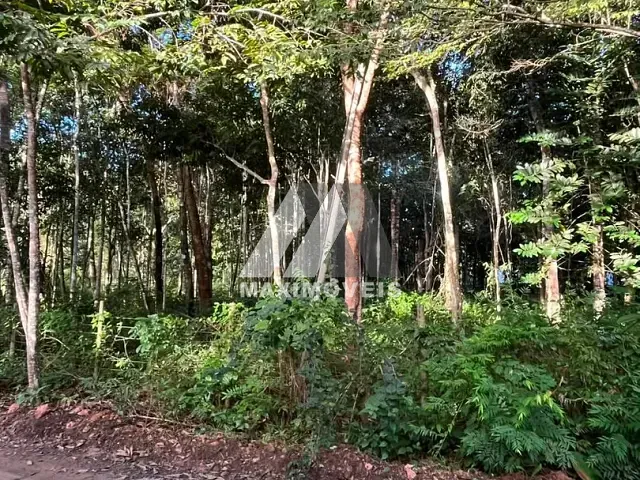 Terreno com 3800m², à venda, no bairro Trancoso em Porto Seguro