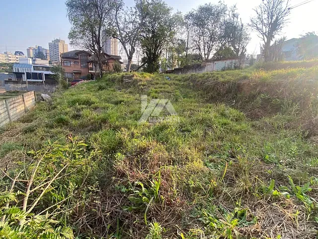 Terreno com 561m², à venda, no bairro Jardim Carvalho em Ponta Grossa