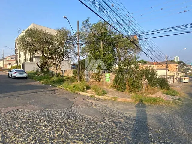 Terreno com 561m², à venda, no bairro Jardim Carvalho em Ponta Grossa