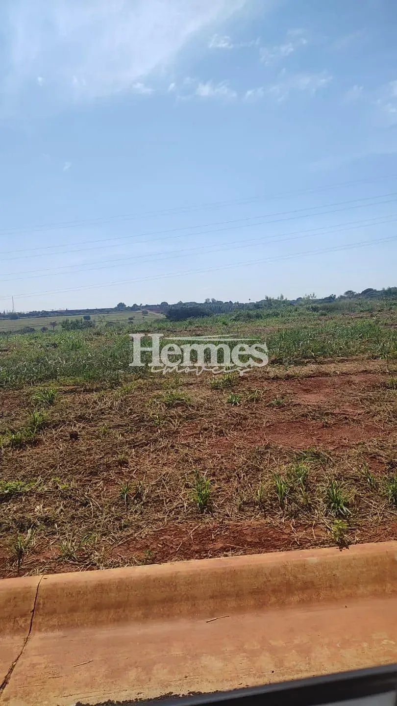 Terreno, 250 m² - Foto 3