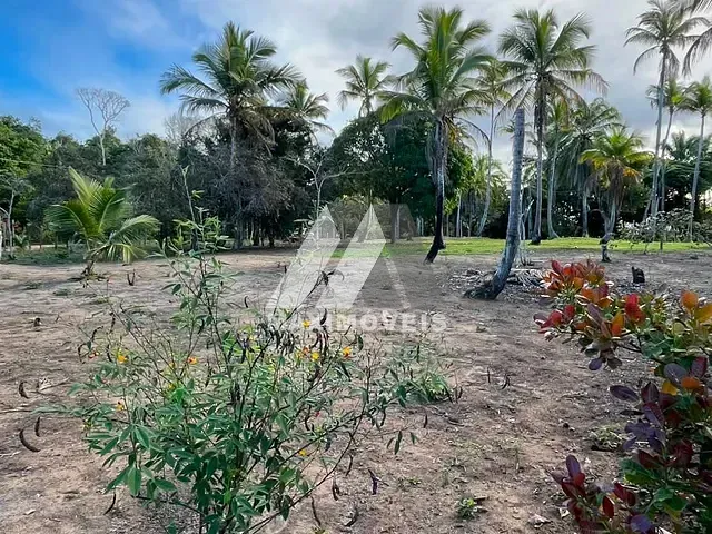 Terreno com 2000m², à venda, no bairro Trancoso em Porto Seguro