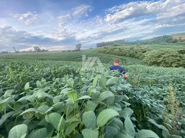 Terreno com 234000m², à venda, no bairro Barra Mansa em Guamiranga