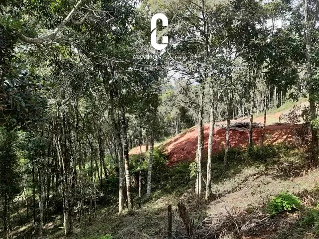 Terreno com 1053m², à venda, no bairro Parque Pedra do Baú em Campos do Jordão