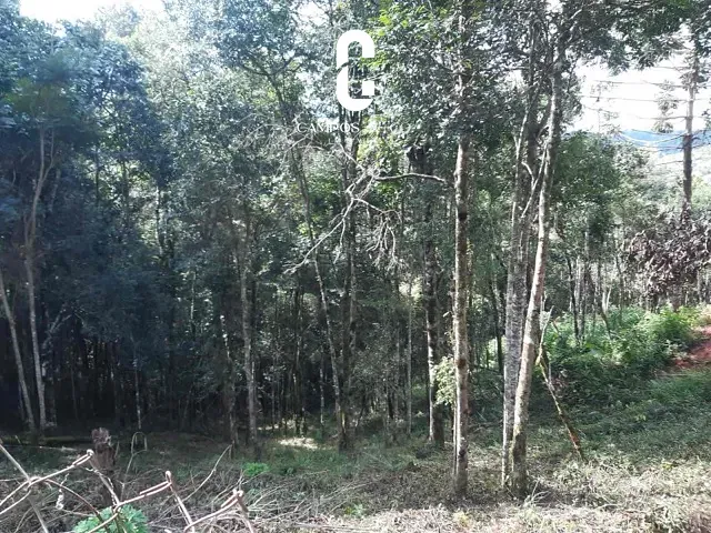Terreno com 1053m², à venda, no bairro Parque Pedra do Baú em Campos do Jordão
