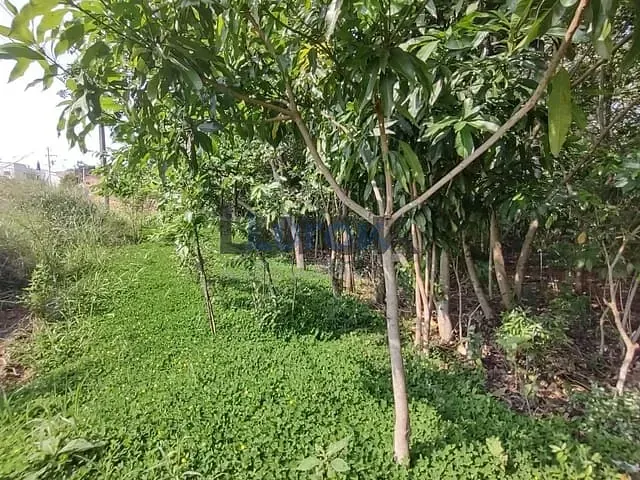 Terreno com 419m², à venda, no bairro Jardim Jurema em Valinhos