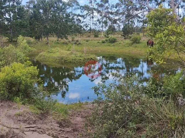 Terreno com 557000m², à venda, no bairro Osório em Osório