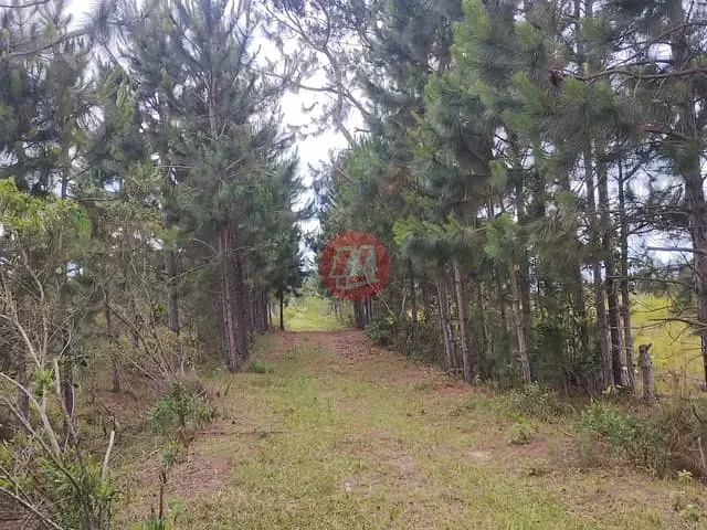 Terreno com 557000m², à venda, no bairro Osório em Osório