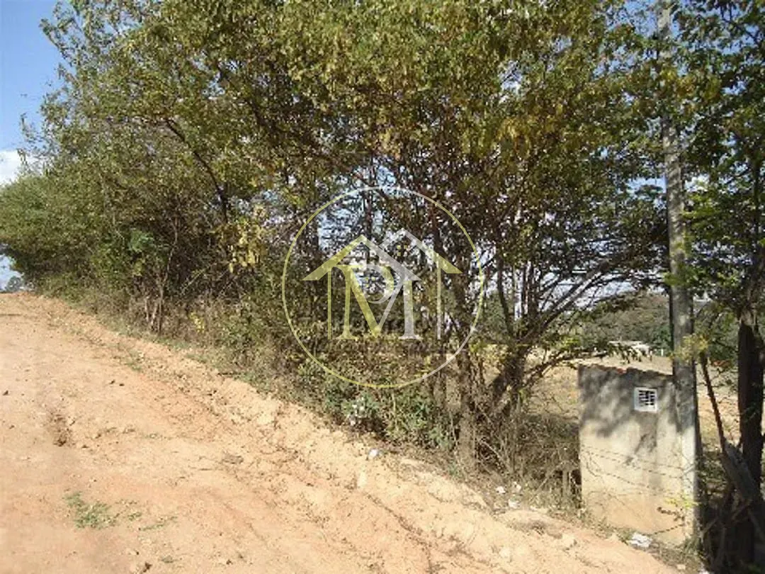 Terreno, 10 hectares - Foto 7