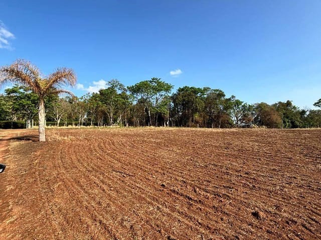Terreno com 24200m², à venda, no bairro Piriquitos em Ponta Grossa