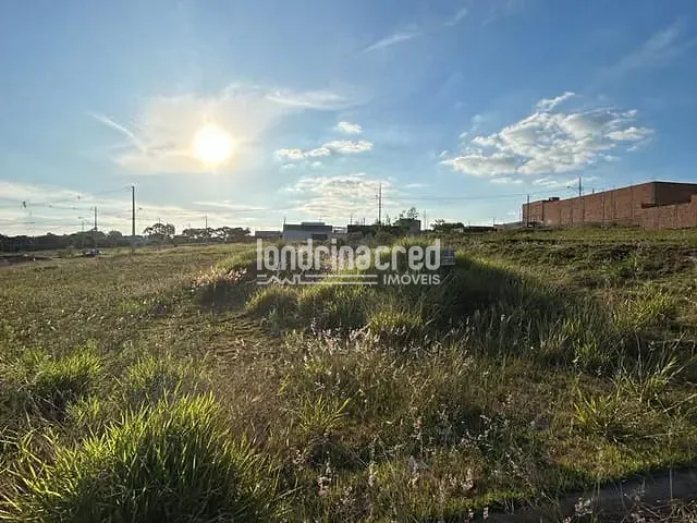 Terreno com 300m², à venda, no bairro Chácara Santa Maria em Cambé