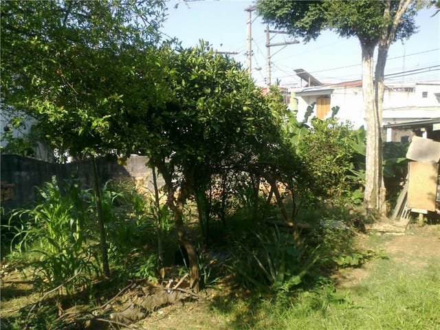 Foto do Terreno - Terreno residencial à venda, Vila Formosa, São Paulo. | ZONA LESTE IMÓVEIS